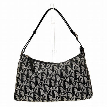 Dior Trotter Canvas Leather 2way Bag