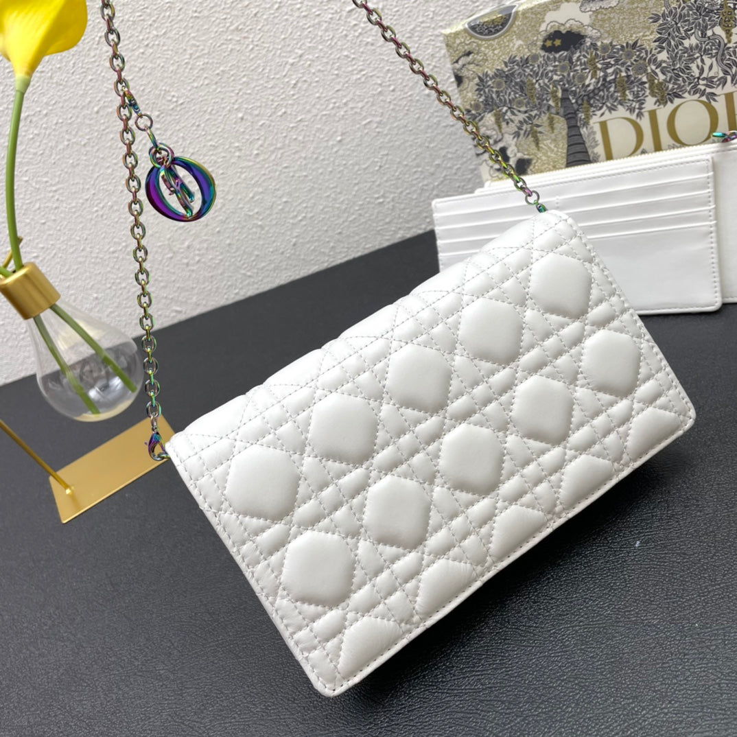 CARO SLIM POUCH 21 BAG IN WHITE CALFSKIN House Of Sarah