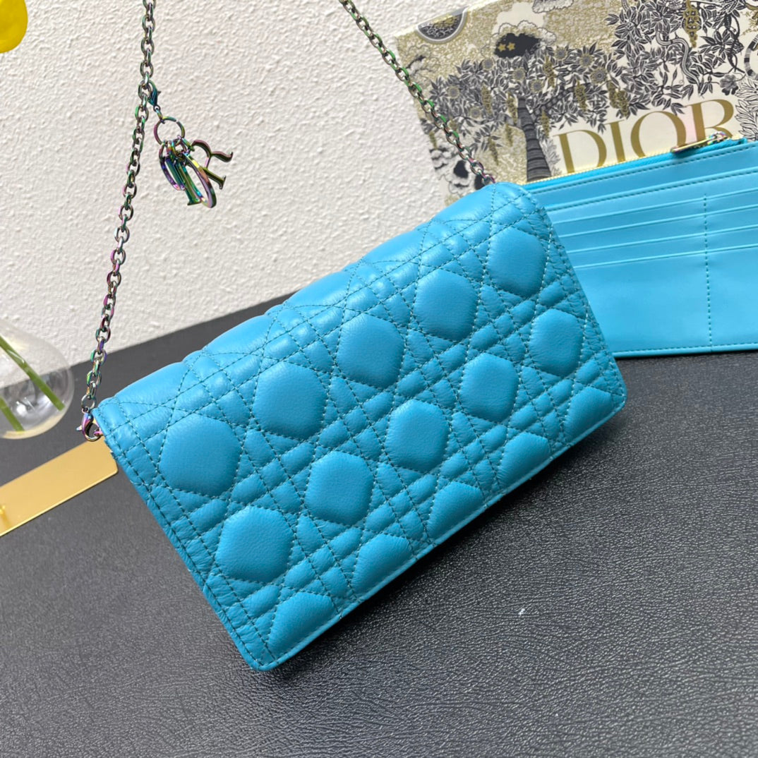 CARO SLIM POUCH 21 BAG IN SKY BLUE CALFSKIN House Of Sarah