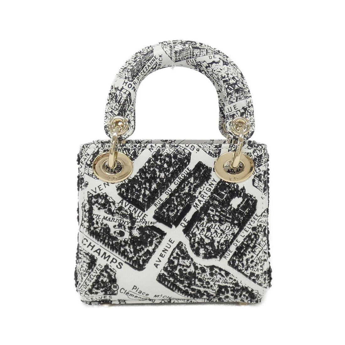 Christian Dior PLAN DE PARIS Lady Dior Leather Bag