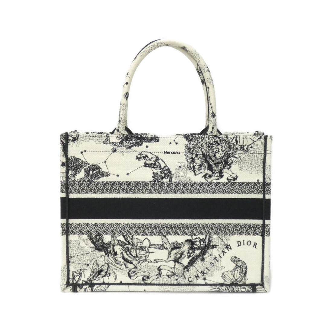 Dior DIOR BOOK TOTE Canvas Tote Bag