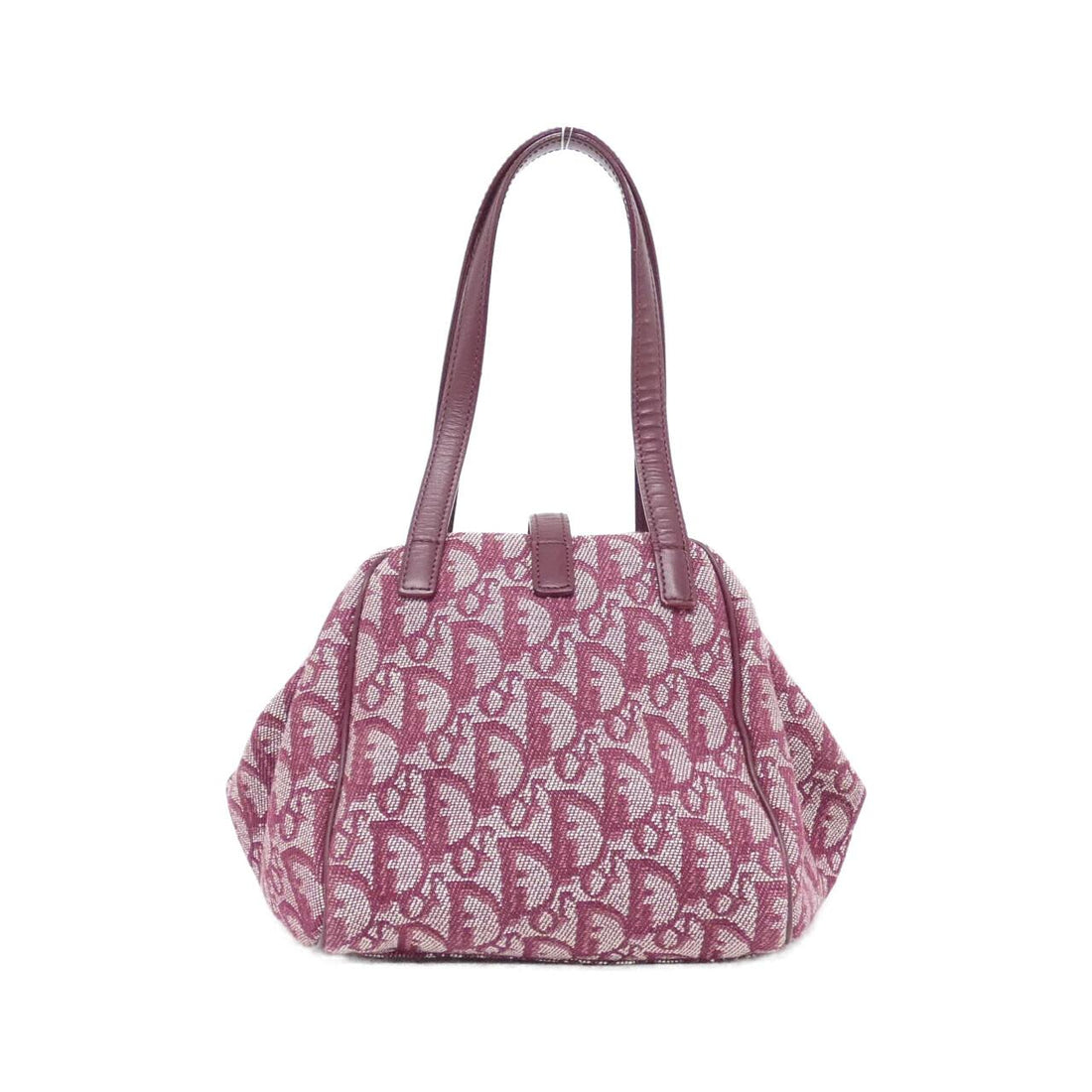 Christian Dior Canvas Bag
