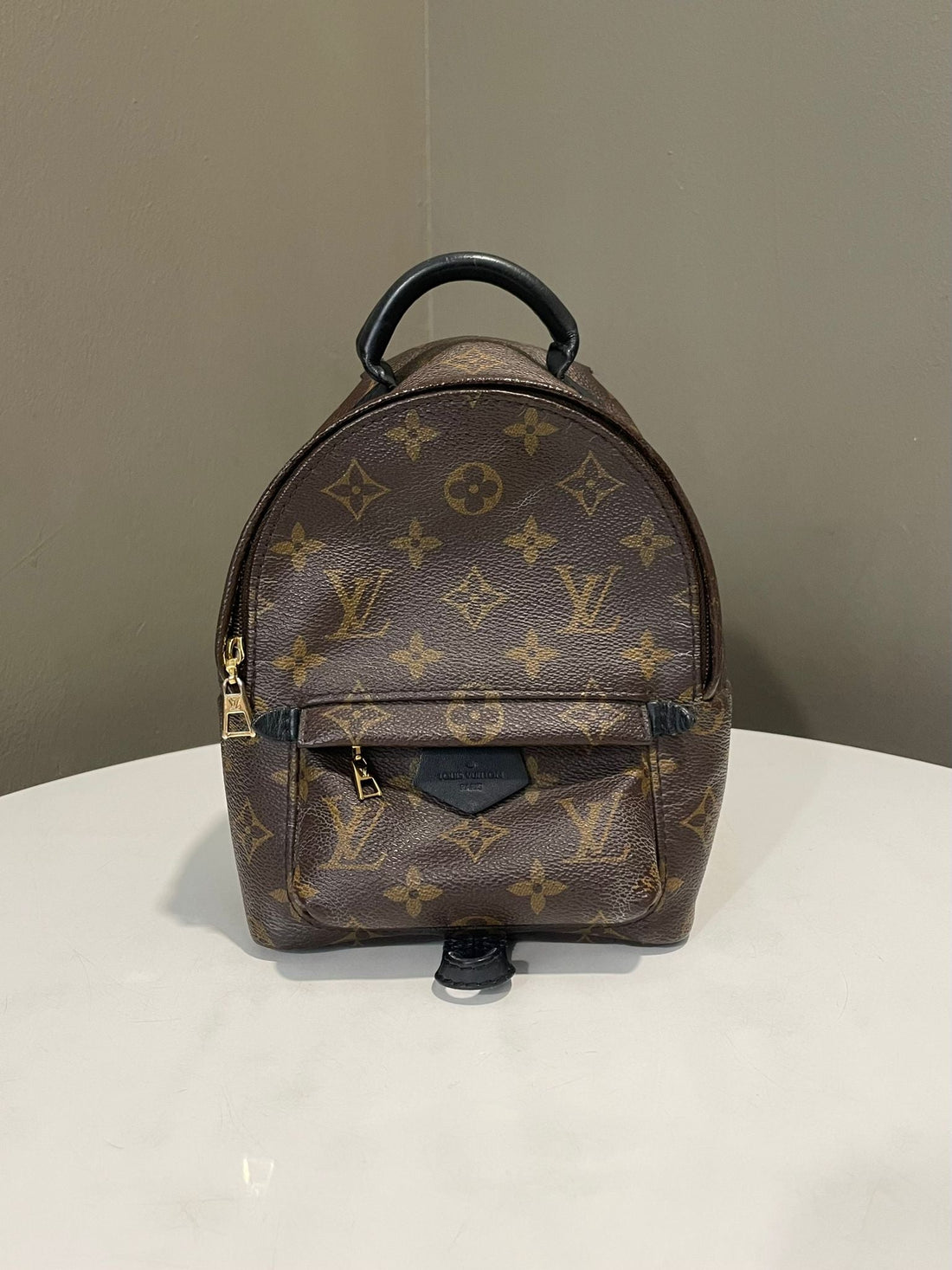 Louis Vuitton Palm Spring Mini Backpack Classic Monogram