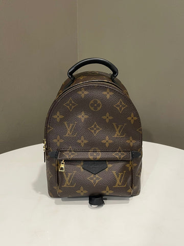 Louis Vuitton Palm Spring Mini Backpack Classic Monogram