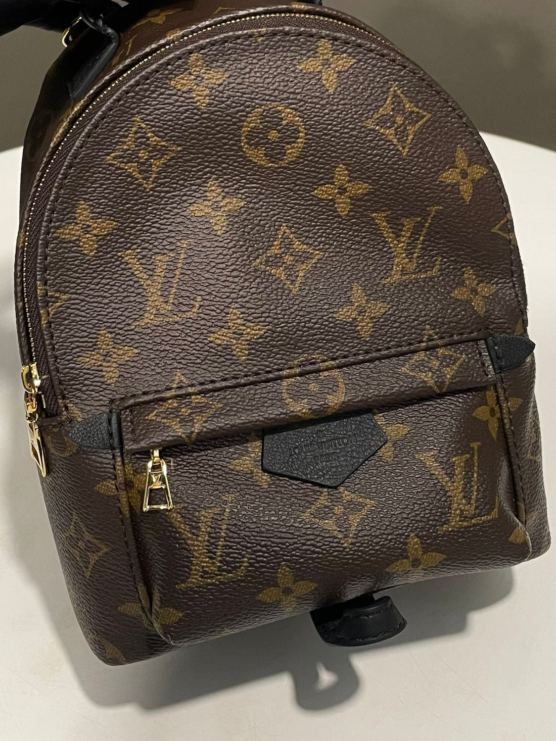 Louis Vuitton Palm Spring Mini Backpack Classic Monogram