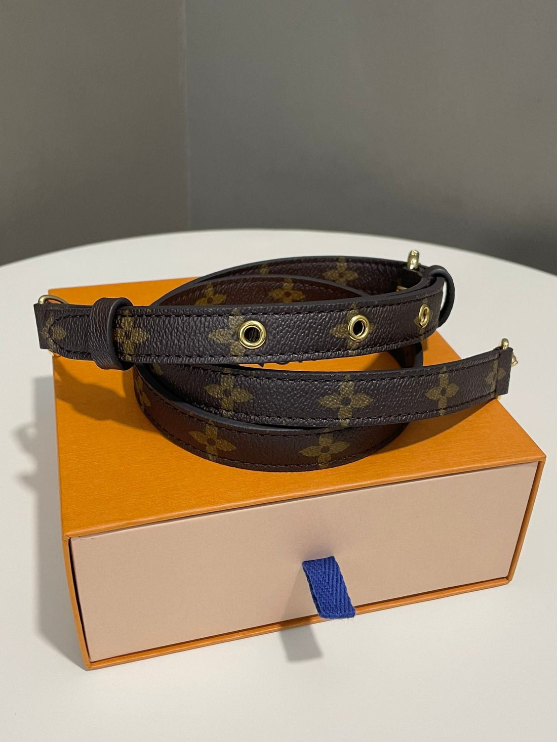 Louis Vuitton Strap Classic Monogram