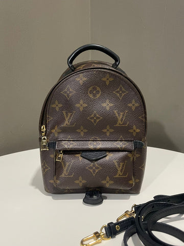Louis Vuitton Palm Spring Mini Backpack Classic Monogram