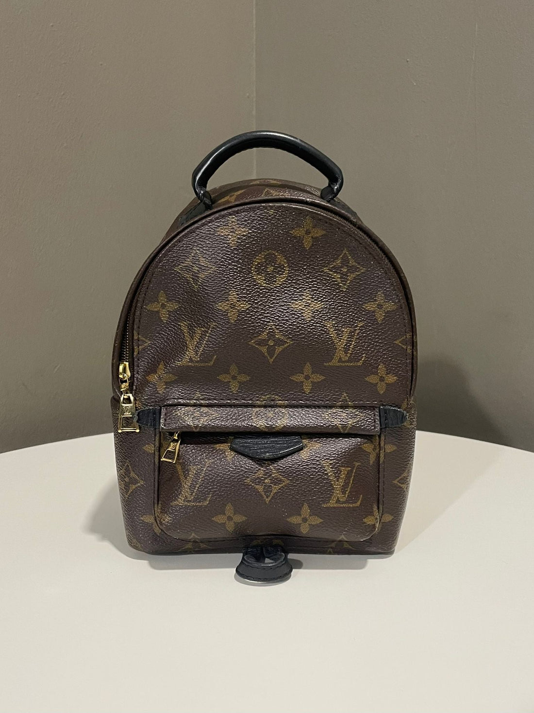 Louis Vuitton Palm Spring Mini Backpack Classic Monogram