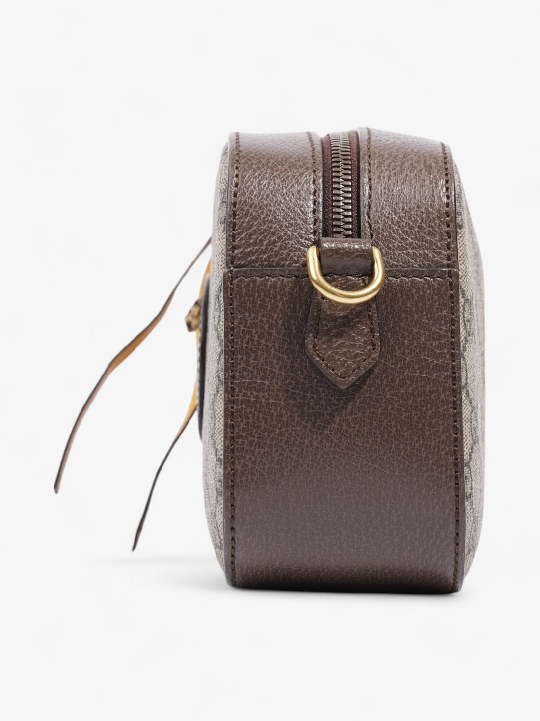 Gucci Neo   Web GG Supreme / Brown / Yellow Canvas
