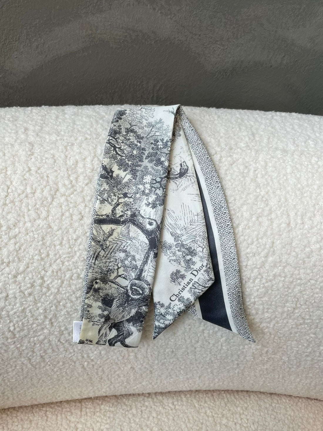Dior Toile de Jouy Sauvage Mitzah Scarf
